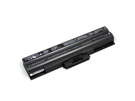 Sony VGP-BPL13 VGP-BPS13 PCG-9Z1M Batteria 5200mAh